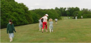 CONIFERS20103.jpg