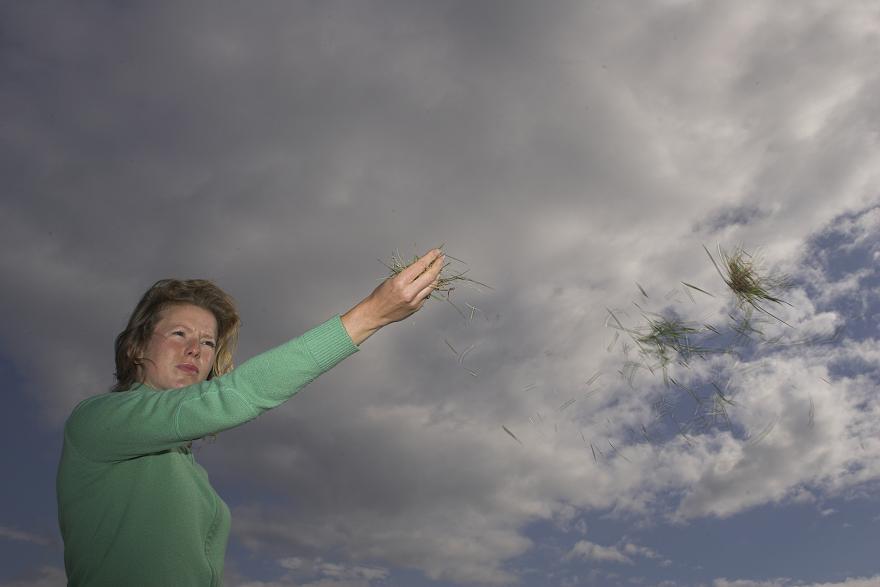 Windy-golf-1.jpg