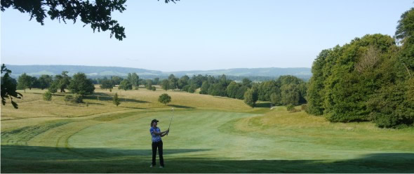 cowdray-panoramic.jpg